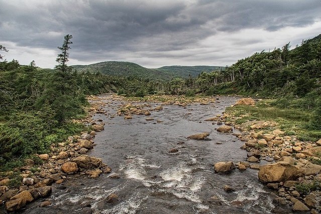 Gros-Morne-National-Park-19