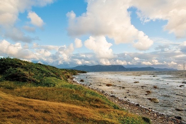 Gros-Morne-National-Park-21