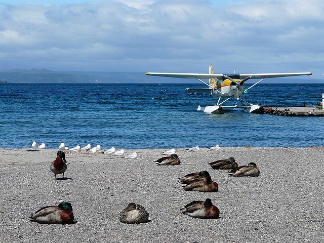 Lake-Taupo-12