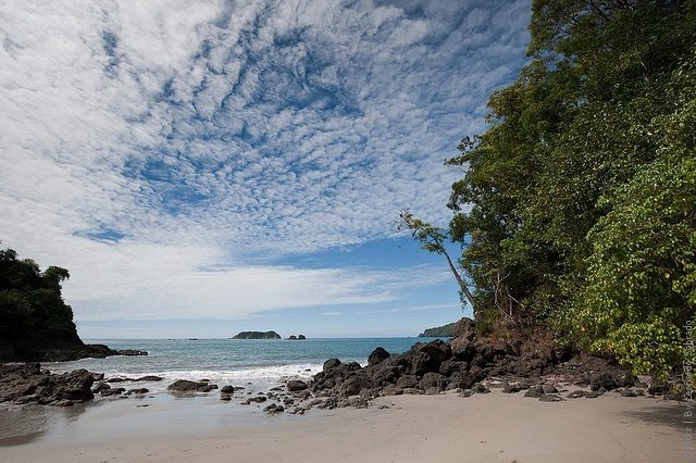 Manuel-Antonio-National-Park-19