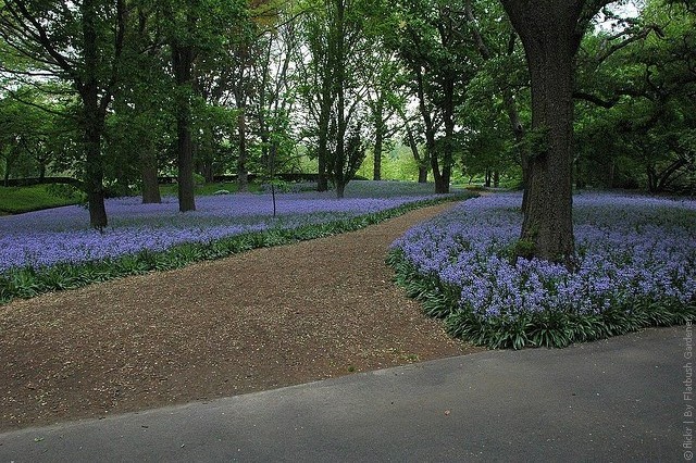 bruklinskiy-botanicheskiy-sad-09