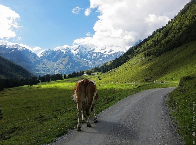 vysokijj-tauern-07