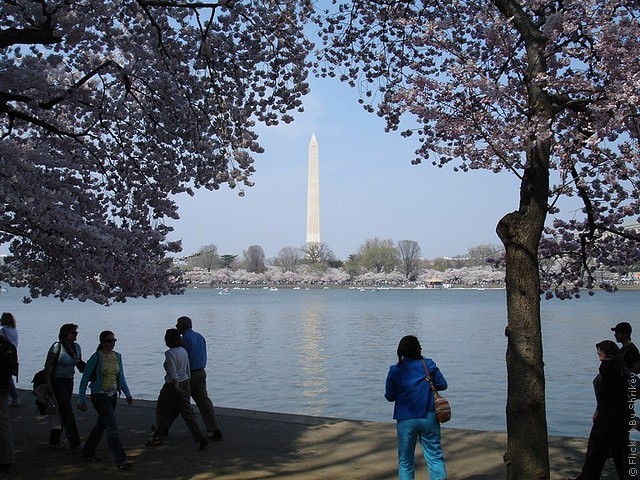 monument-washington-06