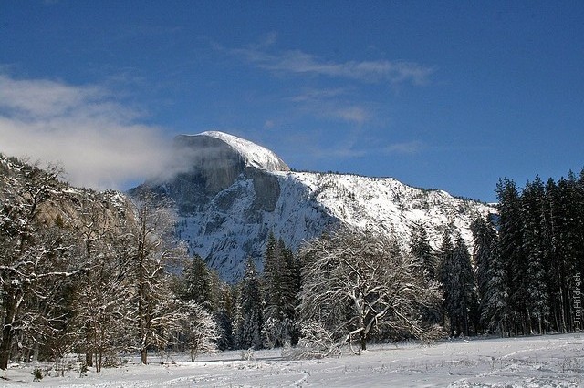 yosemite-12