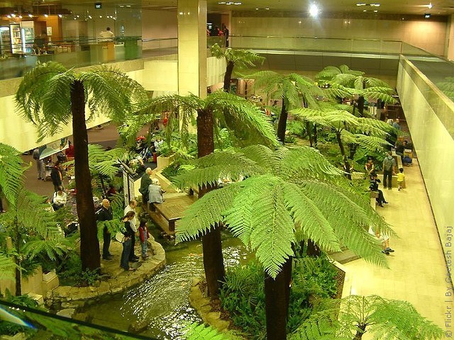 changi-07