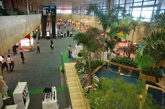 changi-15