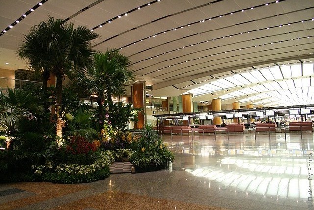 changi-16