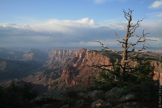 grand-canyon-07