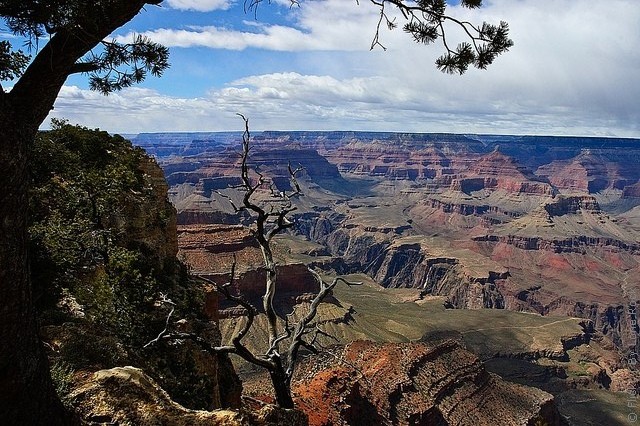 grand-canyon-11