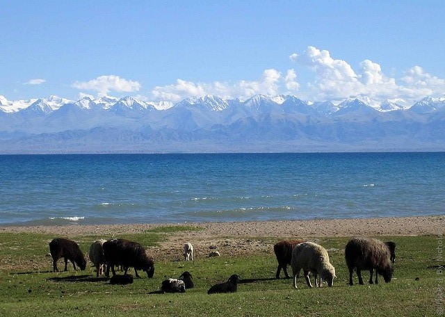 issyk-kul-01