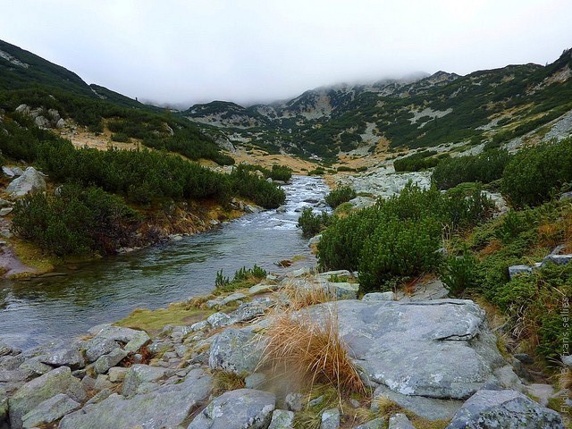 natsionalnyy-park-pirin-01