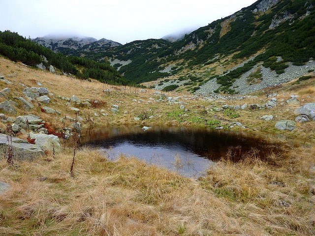 natsionalnyy-park-pirin-03