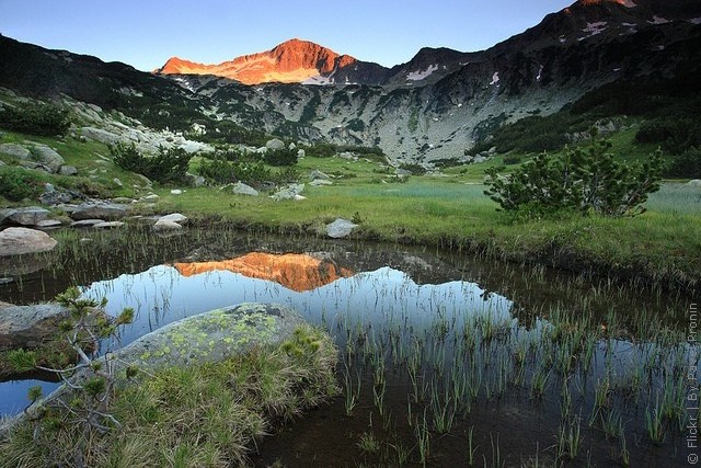 natsionalnyy-park-pirin-05