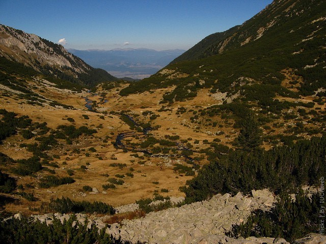 natsionalnyy-park-pirin-06