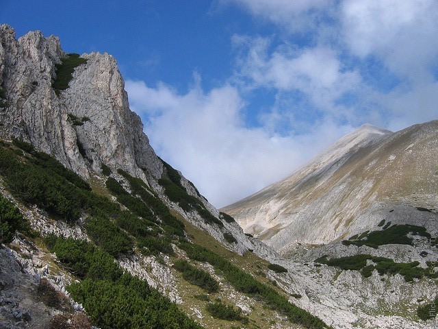 natsionalnyy-park-pirin-09