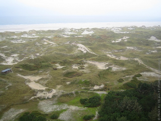 mayak-amrum-12