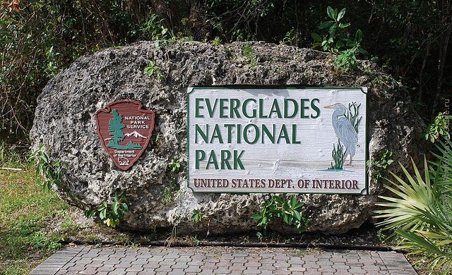 nacionalnyj-park-everglejds-01