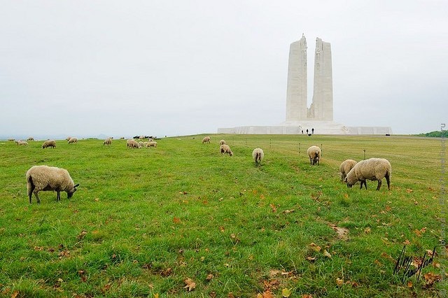 vimiyskiy-memorial-13