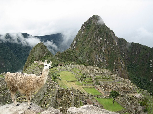 machu-pikchu-18