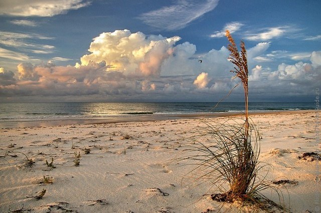 top10-st-george-island-state-park