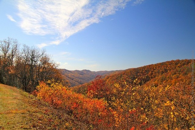 blue-ridge-parkway-13