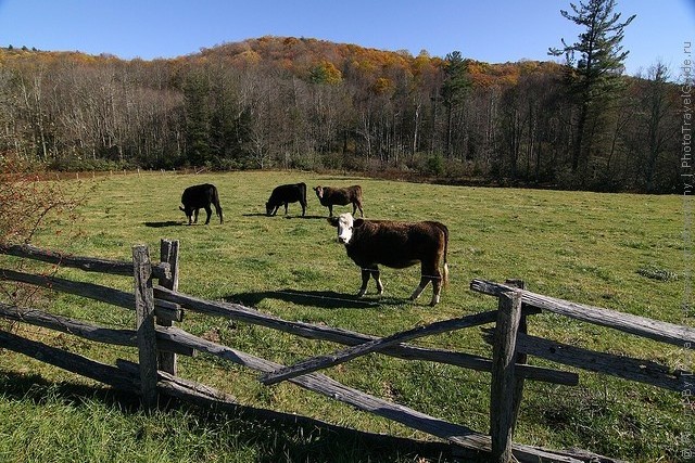 blue-ridge-parkway-16