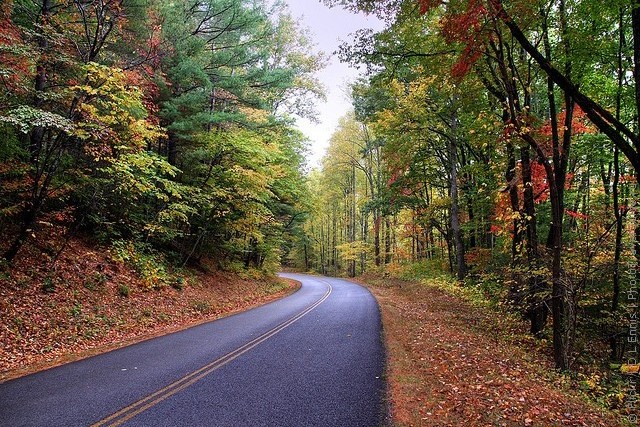 blue-ridge-parkway-17