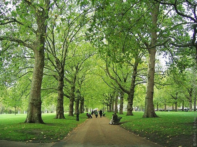 grin-park-london-04