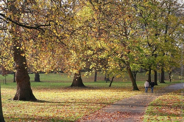 grin-park-london-08