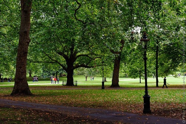 grin-park-london-13