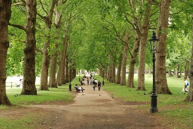 grin-park-london-14