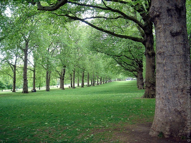 grin-park-london-16