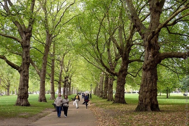 grin-park-london-18