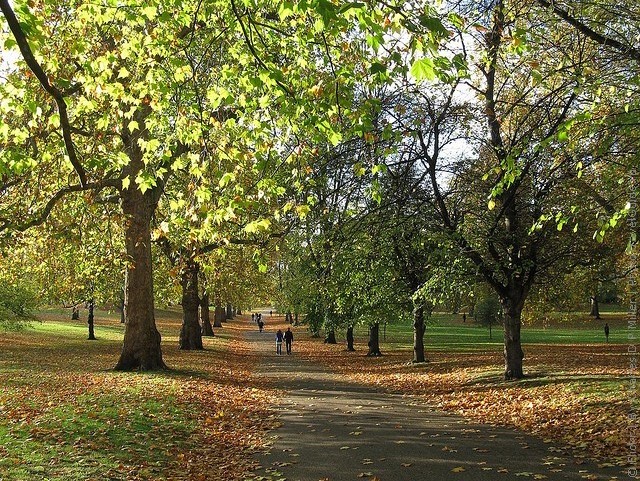 grin-park-london-20