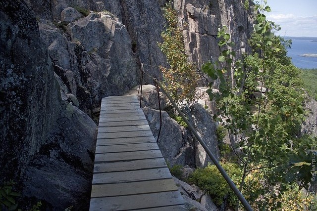 precipice-trail-acadia-08