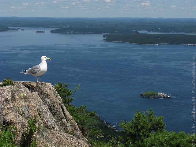 precipice-trail-acadia-20