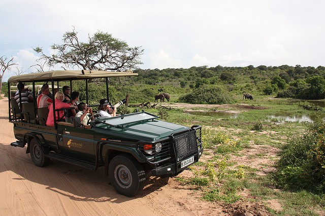 top10-safari-natsionalnyij-park-chobe-1