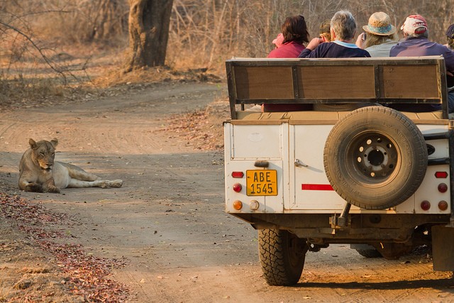 top10-safari-natsionalnyiy-park-yuzhnaya-luangva-2