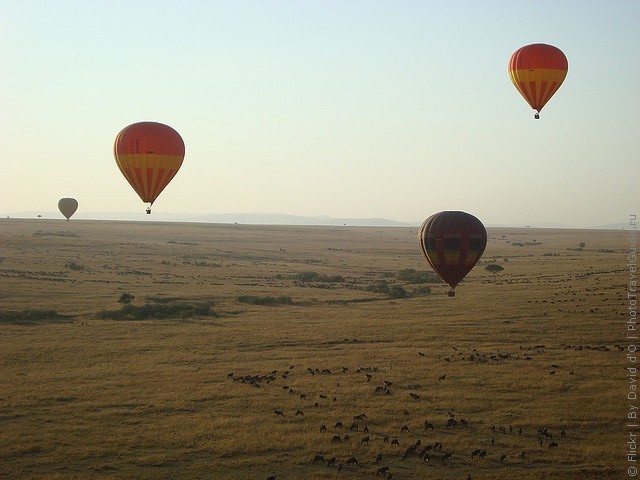 zapovednik-masai-mara-08