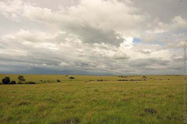 zapovednik-masai-mara-11