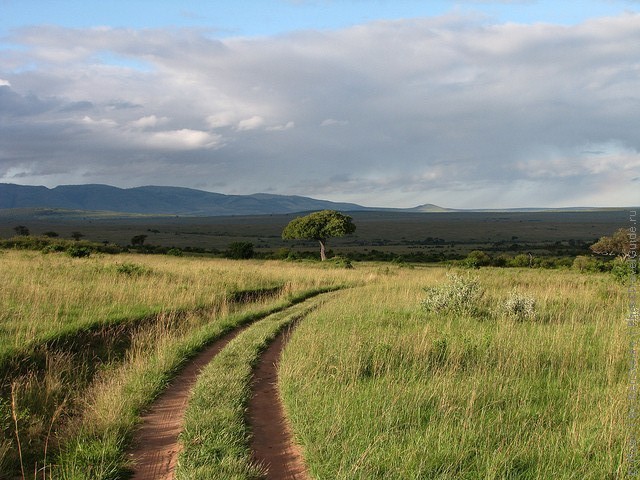 zapovednik-masai-mara-13