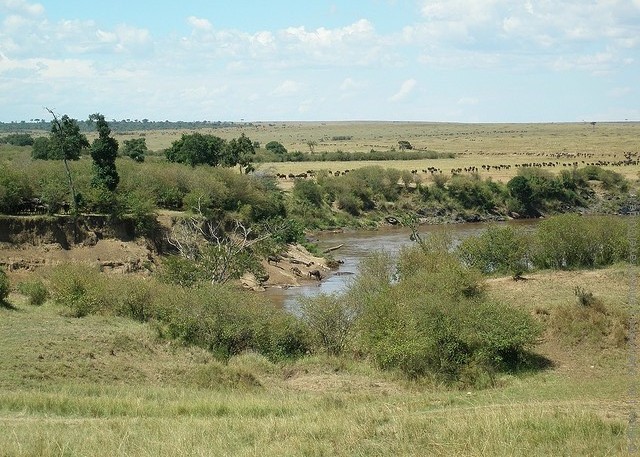 zapovednik-masai-mara-15