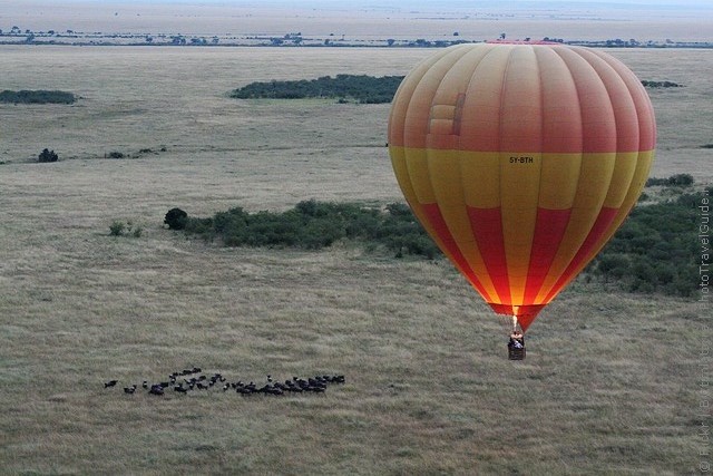 zapovednik-masai-mara-20