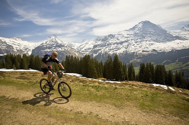 grindelwald-2