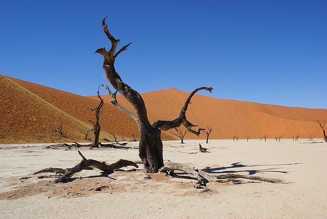 namib-nauklyuft-12