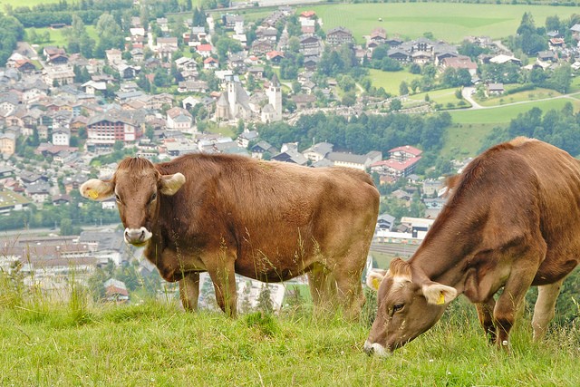 kitzbuehel-09