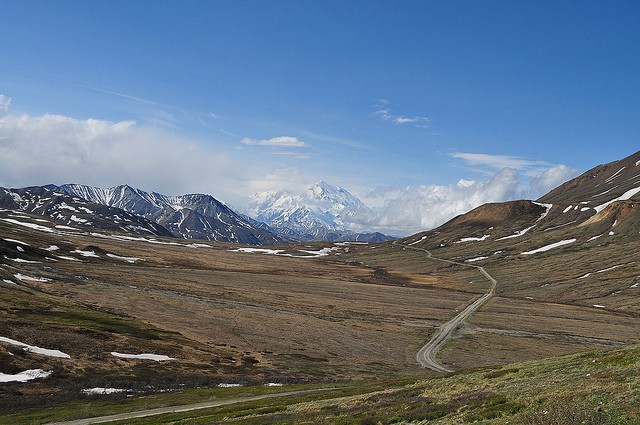 nacionalnyy-park-denali-03