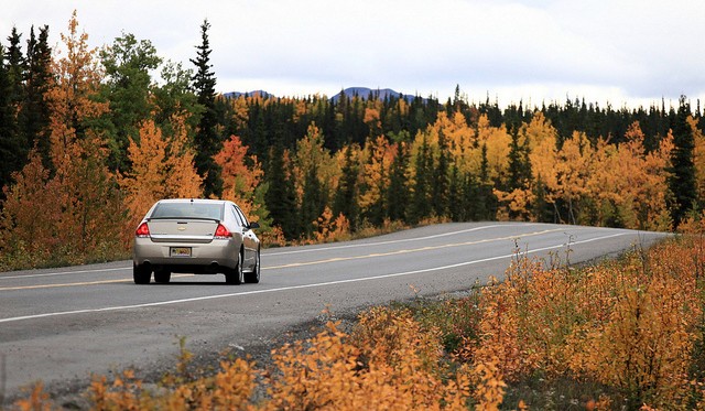 nacionalnyy-park-denali-08