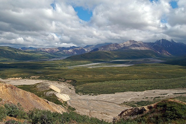 nacionalnyy-park-denali-09