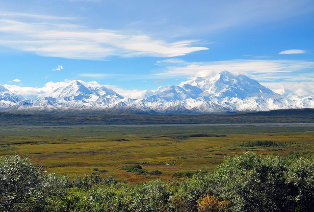 nacionalnyy-park-denali-13